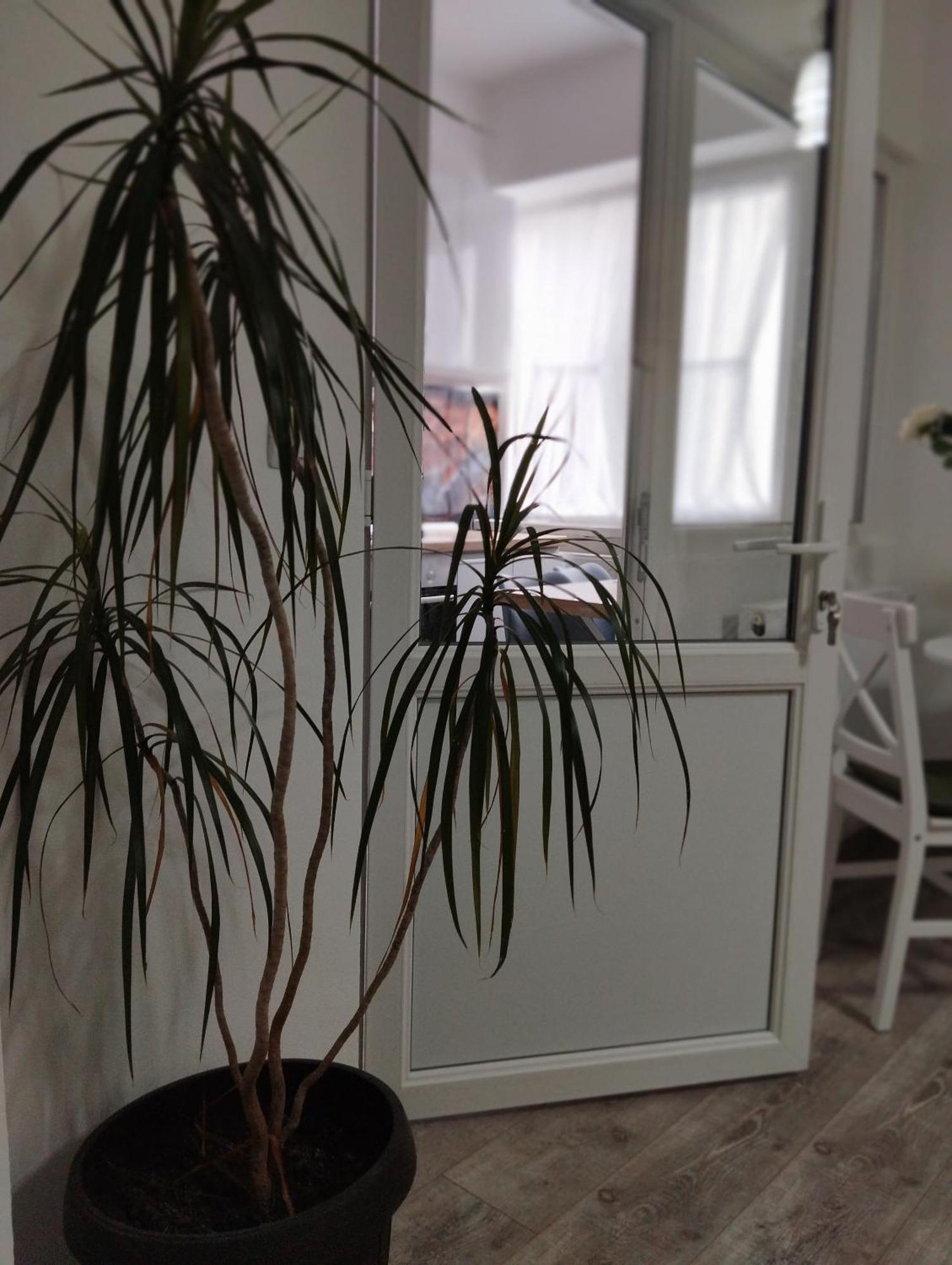 Amber Studio Крайова Екстер'єр фото